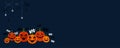 Halloween pumpkins. Banner for text